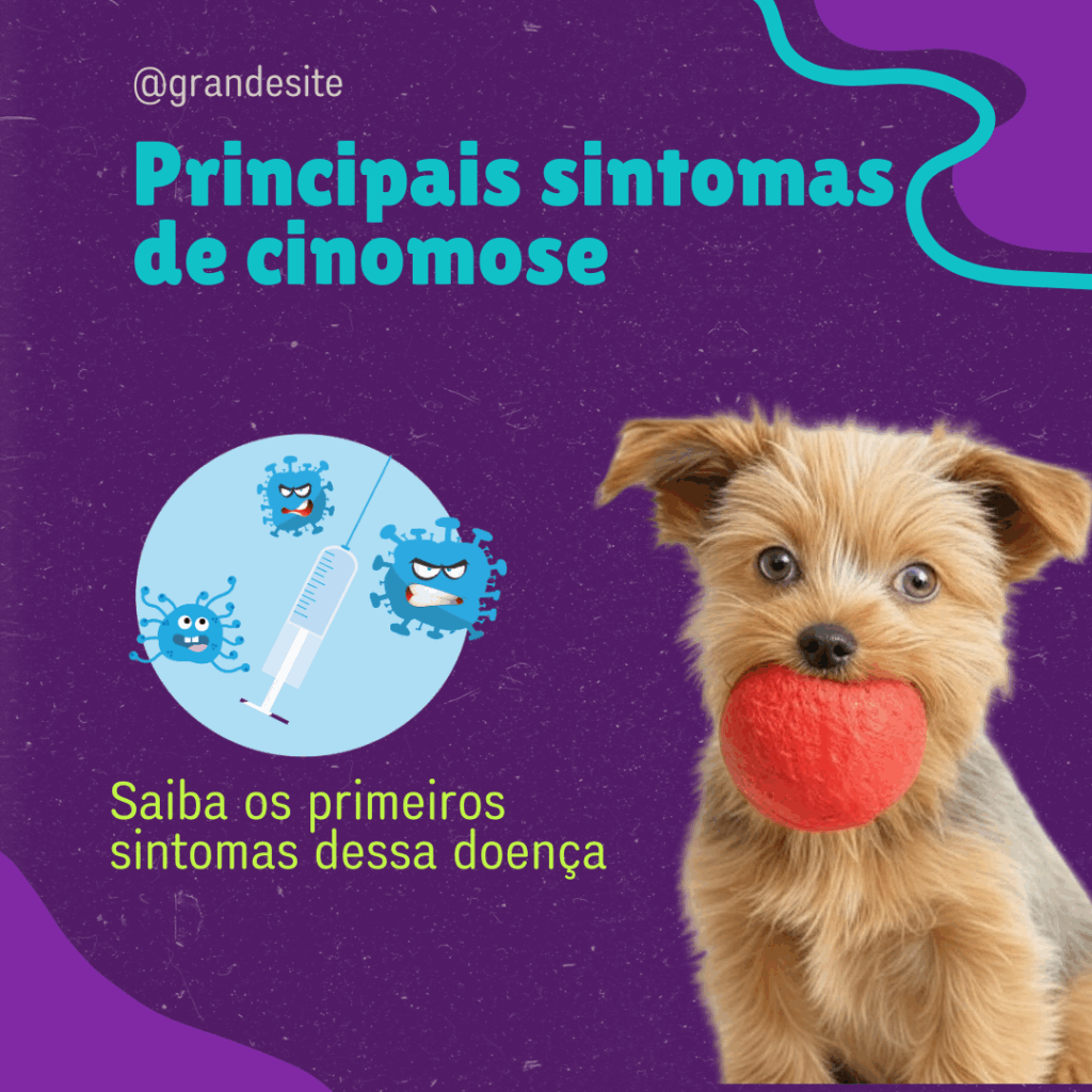 sintoma-cinomose-cachorro