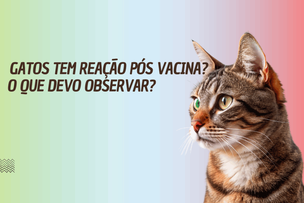 Reação Pós Vacinal em Gatos