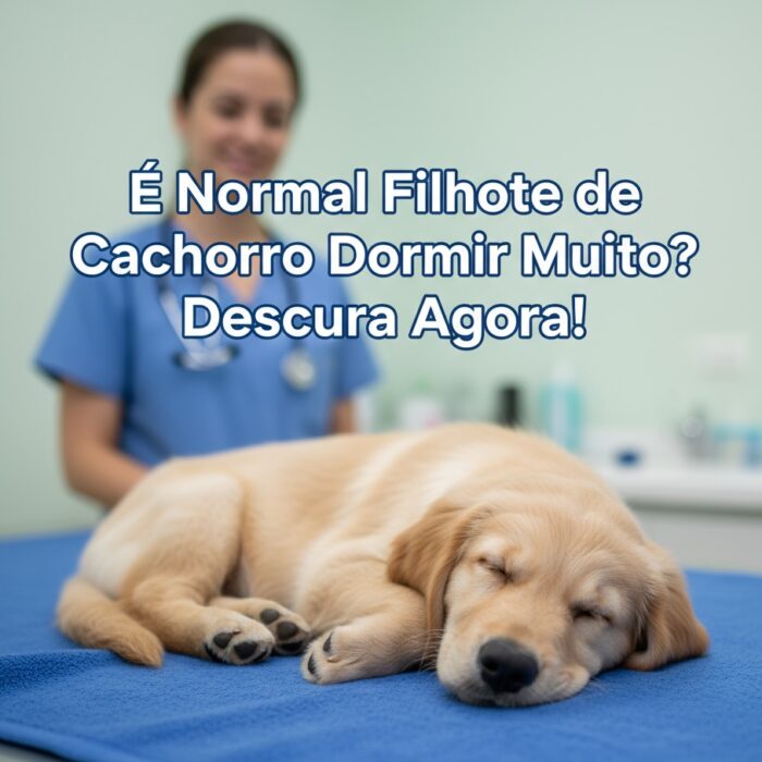 filhote dormindo